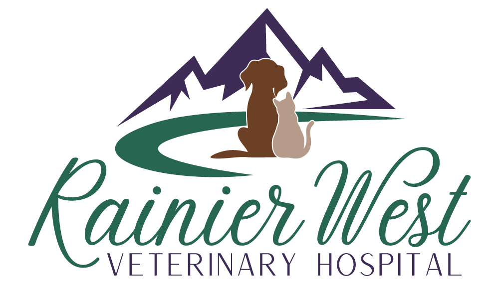 Veterinary Clinic Near Me | Lacey, WA | Rainier West Veterinary Hospital
