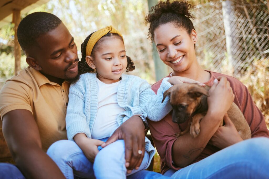 Bringing Home a New Pet: Tips for a Smooth Transition